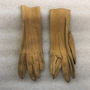 Cover image of  Gloves